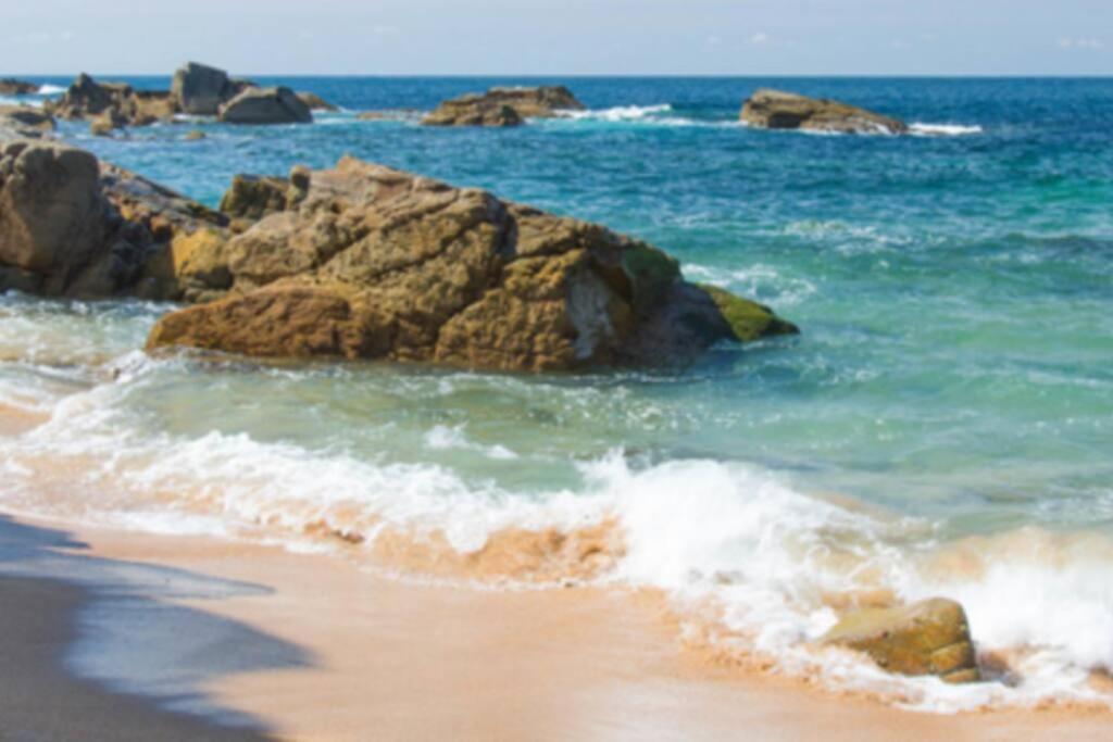 Le Petit Cote Ouest - Appt Dans Les Pins Pres De La Plage Les Sables-dʼOlonne Zewnętrze zdjęcie