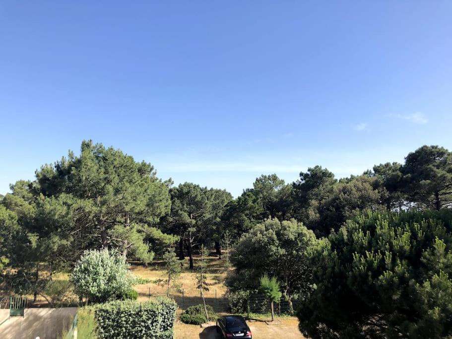 Le Petit Cote Ouest - Appt Dans Les Pins Pres De La Plage Les Sables-dʼOlonne Zewnętrze zdjęcie
